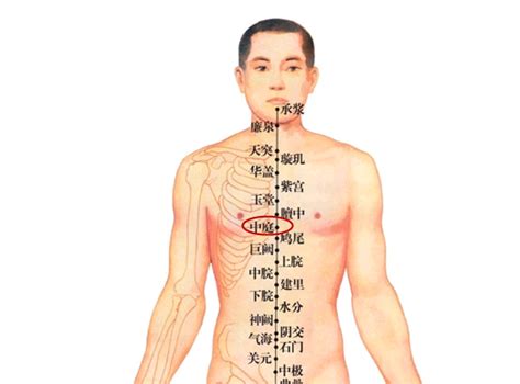 官員穴|關元(經穴名):功能作用,治法,定位,解剖,主治,操作,臨床運用,配伍,。